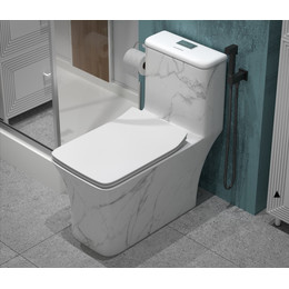 Унитаз-моноблок безободковый EvaGold EG060002 с тонкой крышкой микролифт, белый с декором фото 