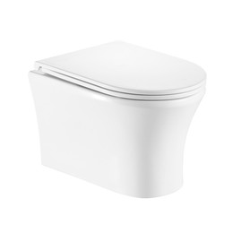 Унитаз подвесной безободковый EvaGold EG070002 с тонкой крышкой микролифт фото 