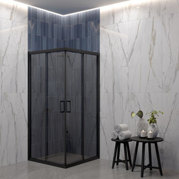 Душевое ограждение EvaGold 100х100 см EG220070, чёрный/тонированное фото 