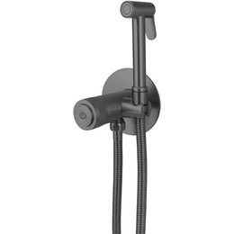 Набор для гигиенического душа Allen Brau Liberty 5.33005-MG (со скрытой частью) графит фото 