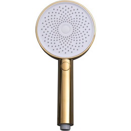 Ручной душ Allen Brau Priority 5.31B20-GB, золото фото 