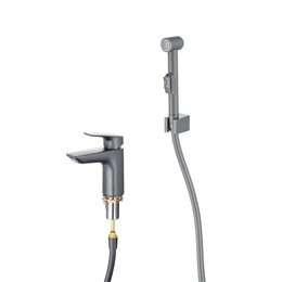 Смеситель для раковины с лейкой для биде Aquatek Вега AQ1012BGM, оружейная сталь фото 