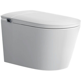 Унитаз-биде подвесной импульсный Abber Bequem AC1121S с крышкой микролифт фото 