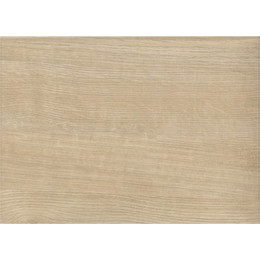 Панель боковая для ванны Ravak CITY 80 см X000001066 R фото 