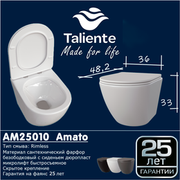 Унитаз подвесной безободковый Taliente Amato AM25010 Grigio с крышкой микролифт, серый, Цвет производителя: серый фото 