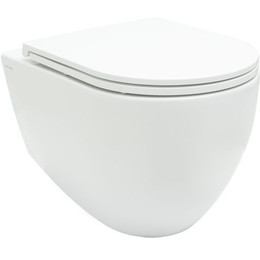 Унитаз подвесной безободковый Allen Brau Reality 4.32006.20 с крышкой микролифт фото 