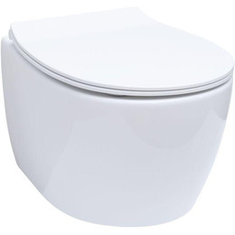 Унитаз приставной безободковый Allen Brau Fantasy 4.11004.20 с тонкой крышкой микролифт фото 