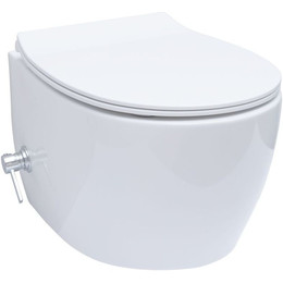 Унитаз-биде подвесной безободковый Allen Brau Fantasy 4.11HC1.20 с тонкой крышкой микролифт фото 