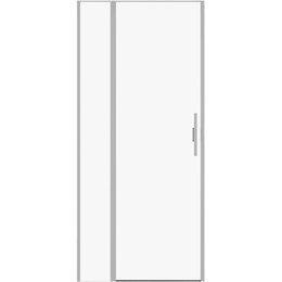 Душевая дверь Allen Brau Priority 100 см 3.31029.BA (стекло 8 мм) серебро браш/прозрачное фото 