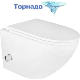 Унитаз-биде подвесной безободковый Azario Grado AZ-046E-NR с тонкой крышкой микролифт (система смыва Торнадо) фото 