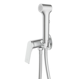 Гигиенический душ Azario Lursy AZ-KFX49BN (со скрытой частью) сатин фото 