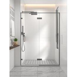 Душевая дверь Veconi Premium Alassio 120 см AL-120-00-GR-C4, брашированный графит/прозрачное фото 