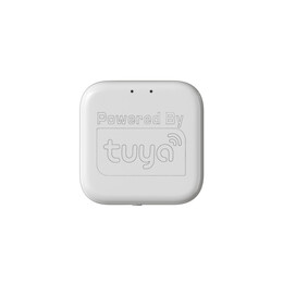 WI-FI конвертер Denkirs Smart control DK7400-WF фото 