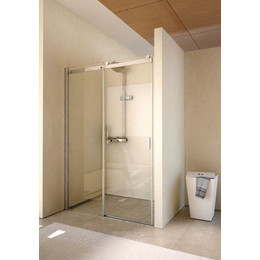 Душевая дверь Riho Baltic B104 160 см L/R хром/прозрачное фото 