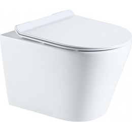 Унитаз подвесной безободковый Sole Torr с крышкой микролифт фото 