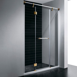 Душевая дверь RGW VI-02 150 см 02040215-18 (стекло 8 мм), белый/золото/прозрачное фото 