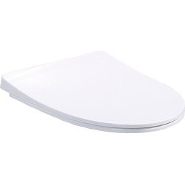 Сиденье с крышкой для унитаза BelBagno Alpha микролифт BB2177SC фото 