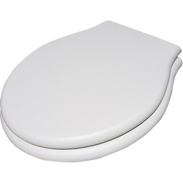 Сиденье с крышкой для унитаза Globo Paestum микролифт, цвет белый дуб PS20RB фото 