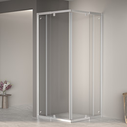 Душевое ограждение RGW PA-38 100х100 см 06083800-11, хром/прозрачное фото 