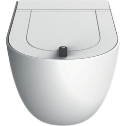 Унитаз подвесной безободковый ArtCeram The One THV001 05 00 bianco matt фото 