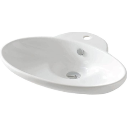 Раковина-чаша ArtCeram Washbasins Fuori 63 см TFL004 01 00 bi*1 фото 