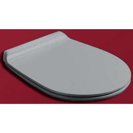 Сиденье с крышкой для унитаза Simas Vigoni микролифт VI004 cemento matt/cr фото 