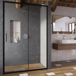 Душевая дверь Ravak Blix Slim BLSDP2 120 см X0PMG0300Z1 чёрный/прозрачное фото 