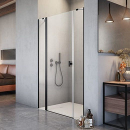 Душевая дверь Radaway Nes 8 Black DWJS 120 см L (стекло 8 мм), черный/прозрачное фото 