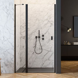 Душевая дверь Radaway Nes 8 Black DWJ II 120 см 10083120-54-01L (стекло 8 мм), черный/прозрачное фото 