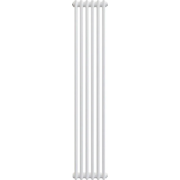 Вертикальный радиатор Zehnder Charleston 2180 300х1790 мм (6 секций) боковое подключение, белый фото 