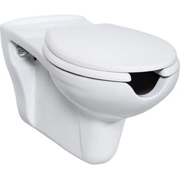 Унитаз-биде подвесной Creavit BD320.00000 для людей с ограниченными возможностями фото 