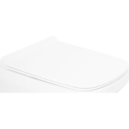 Сиденье с крышкой для унитаза BelBagno Sela микролифт BB3201SC фото 