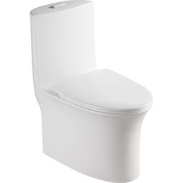 Унитаз-моноблок безободковый Azario Luna AZ-1037 с крышкой микролифт фото 