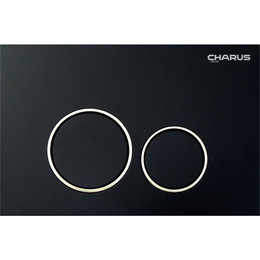 Кнопка смыва Charus Spazio FP.330.DW.01, чёрный свет фото 