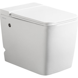Унитаз приставной безободковый импульсный Abber Rechteck AC1212P с крышкой микролифт (выпуск вертикальный) фото 