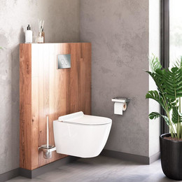 Унитаз подвесной безободковый Damixa Apollo DX22C1700SC с крышкой микролифт фото 