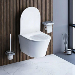 Унитаз подвесной безободковый Damixa Skyline DX35C1700SC с крышкой микролифт фото 