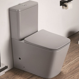 Унитаз-компакт CeramaLux Rimless 2170AXMH с крышкой микролифт, светло-серый матовый фото 
