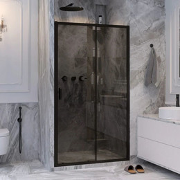 Душевая дверь Ambassador Forsa 120 см 17022218ABB, чёрный/тонированное фото 