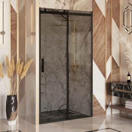 Душевая дверь Ambassador Benefit 120 см 19022201HBB (стекло 8 мм) чёрный/тонированное фото 