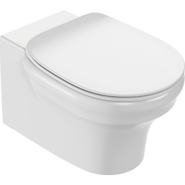 Унитаз подвесной безободковый Jacob Delafon Cleo 1889 EDZ102-0 фото 