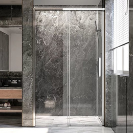 Душевая дверь Veconi Premium Trento 120 см PTD40-CH-120-01-C4 (стекло 8 мм), хром/прозрачное фото 