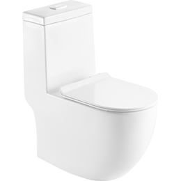 Унитаз-моноблок Sole Twin с тонкой крышкой микролифт фото 