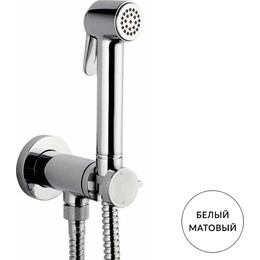 Набор для гигиенического душа Bossini Paloma E37007B.045, белый матовый фото 