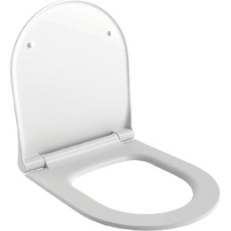 Сиденье с крышкой для унитаза Ambassador Queen микролифт 112T20101S, белый матовый фото 