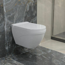 Унитаз подвесной безободковый Ambassador Nord 133T20101, белый матовый фото 