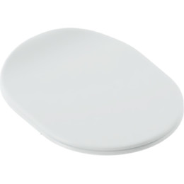 Сиденье с крышкой для унитаза Artceram Chic микролифт CHA001 01 71 (петли хром) фото 