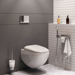 Набор подвесной унитаз с гигиеническим душем Am.Pm Sensation CK30H0904W фото 