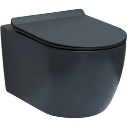 Унитаз подвесной безободковый Aquanet Rimless Cetus-GW BL-102N-WHT 287009 с тонкой крышкой микролифт, серый матовый, Цвет производителя: серый фото 