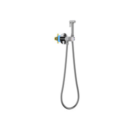 Набор для гигиенического душа Aquatek Бетта AQ1023CR (со скрытой частью) фото 
